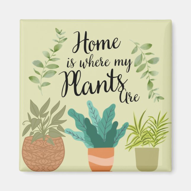 Coleção de Imãs de geladeira Exclusiva (Frente)