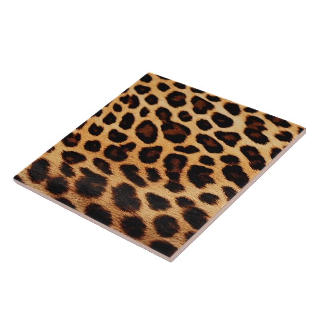 Coleção de Impressão Popular de Gatos-Leopardo (Lateral)