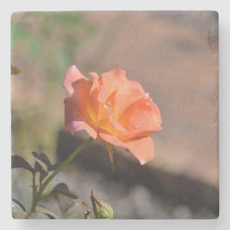 Coleção de Porta-Copos Jardim de Rosas 4 de 4