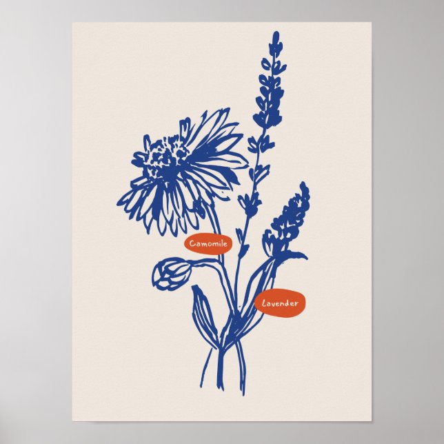 Coleção de poster de arte natural (Frente)