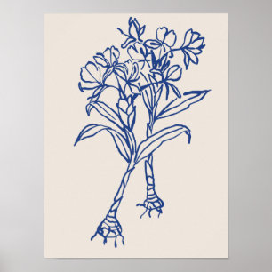Coleção de poster de arte natural