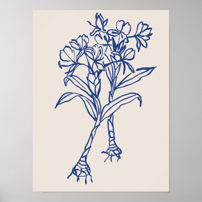 Coleção de poster de arte natural (Frente)