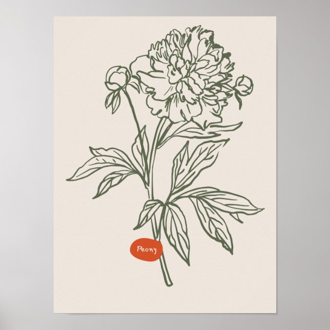 Coleção de poster de arte natural (Frente)