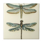 Coleção Dragonfly por Chariklia Zarris<br><div class="desc">Uma coleção de libélulas digna de qualquer curioso buff da natureza, esta é uma peça espantosa de Chariklia Zarris. Coloque na sua parede ou dê como presente!</div>