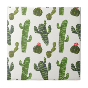 Coleção Llamarama Cactus
