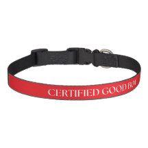 Cachorro Bom Certificado