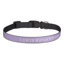 Coluna de Cães