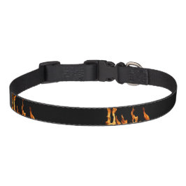 Coleira Dog Collar Flammen Flamme Flame Flames Feuer Fire 
