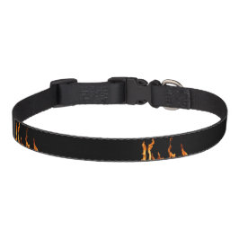 Coleira Dog Collar Flammen Flamme Flame Flames Feuer Fire