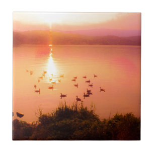 Coletor solar rosa e pêssego