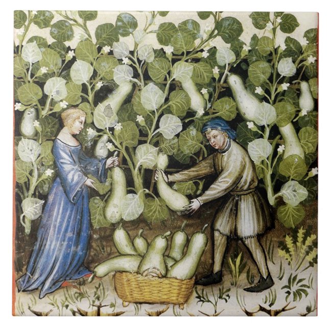 COLHEITA ANTIQUICA ESQUASH (Frente)