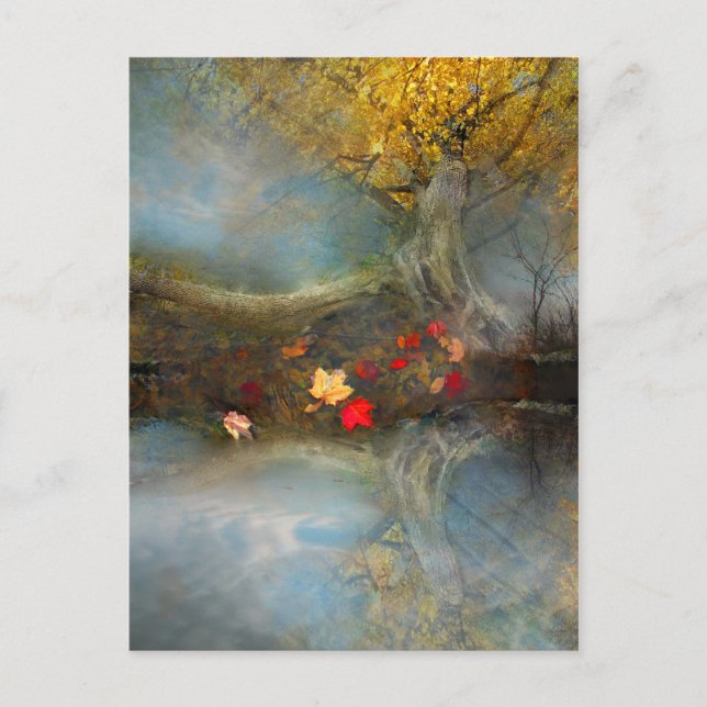 Colheita automática, cartão postal (Frente)