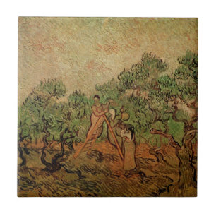 Colheita de Oliveiras por Vincent van Gogh