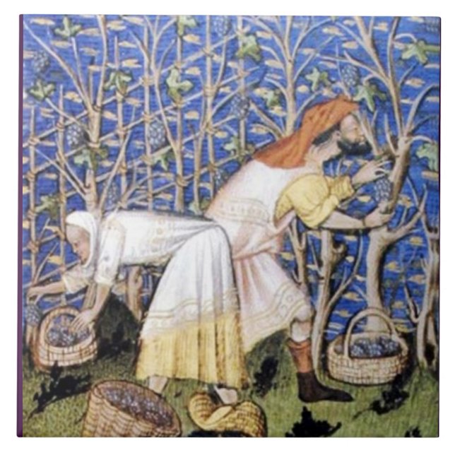 COLHEITA DE VINHOS ANTICOS DE UVAS (Frente)