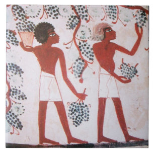 COLHEITA EGÍPCIA ANTIGA DA UVA PARA VINHO DO