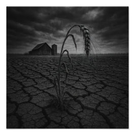 Colheita - Impressão de Foto