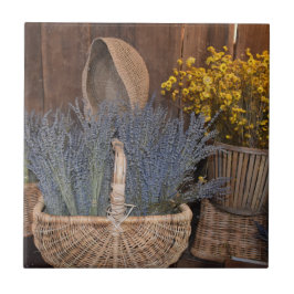 Colheita Rústica de Lavanda