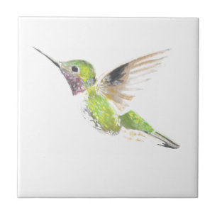 Colibri