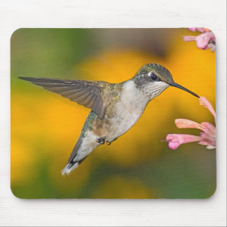 Colibri 4 Mousepad