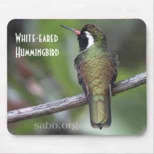 colibri Branco-orelhudo Mousepad