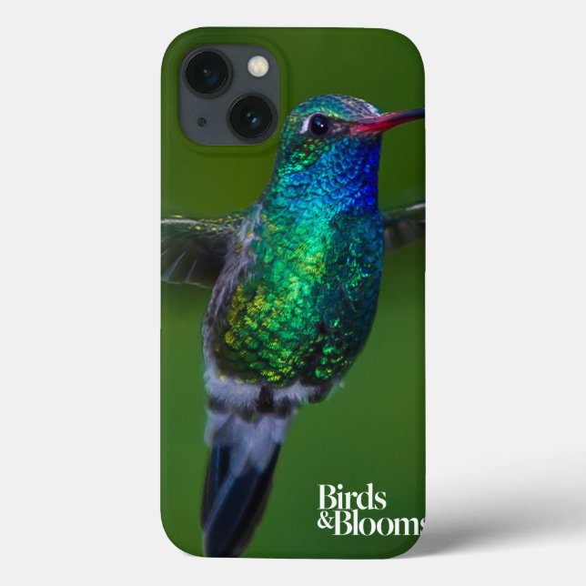 Colibri de flutuação (Verso)