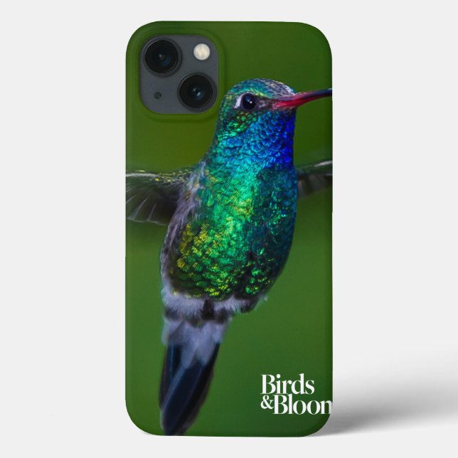 Colibri de flutuação (Verso)