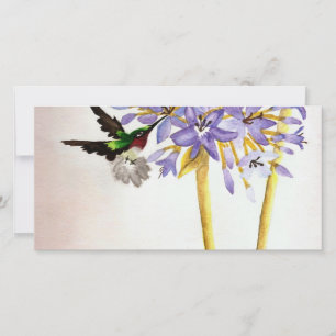 Colibri e flores