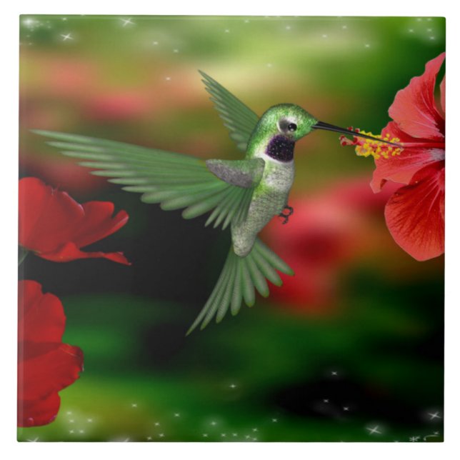 Colibri em um azulejo 6x6 (Frente)