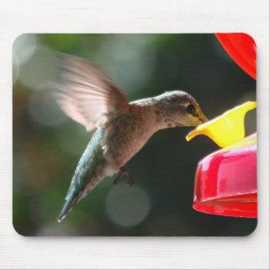 Colibri, mousepad