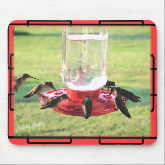 Colibri Mousepad