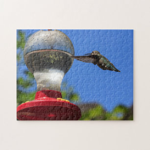 Colibri que inspeciona um quebra-cabeça do