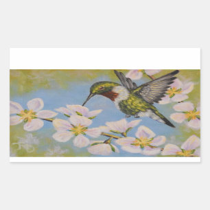 Colibri Rubi-Throated - etiquetas