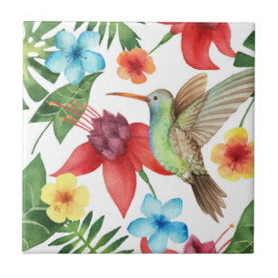 Colibri tropical