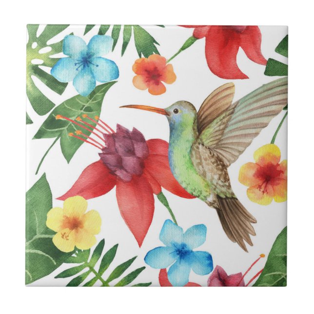 Colibri tropical (Frente)