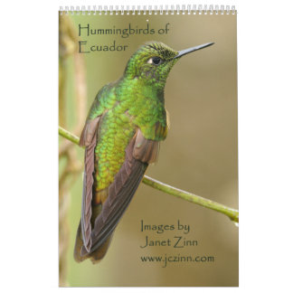 Colibris do calendário de Equador