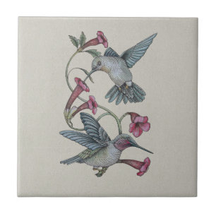 Colibris & videira
