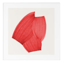 Collage aus 3 Formen in rot