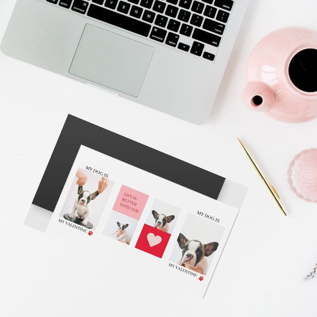 Collage Dog Photos | Meu Cachorro É Meu Namorados (Criador carregado)