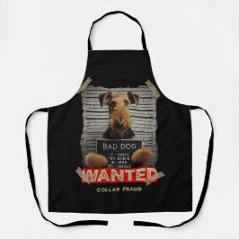 Collar Fraudster