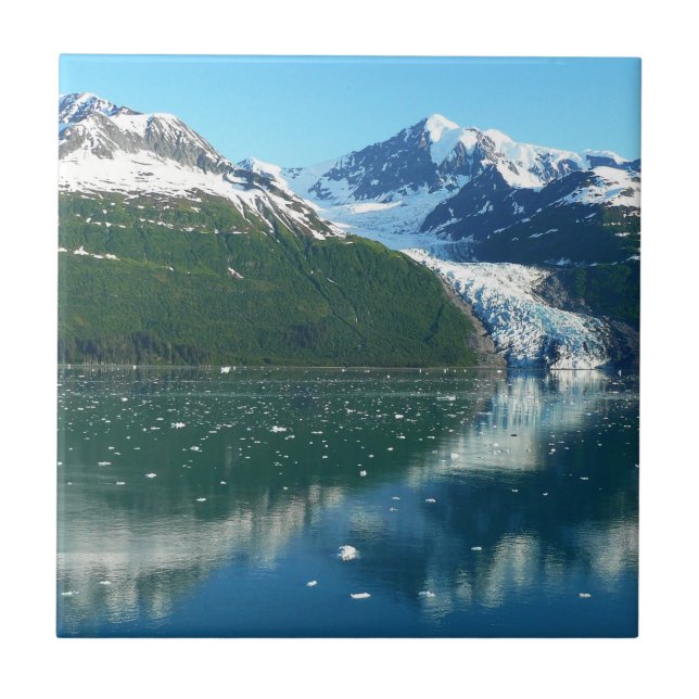 College Fjord I Beauful Alaska Photoographic (Frente)