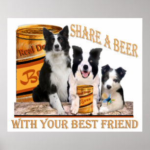 Collie de Borda Compartilha Um Poster De Cerveja