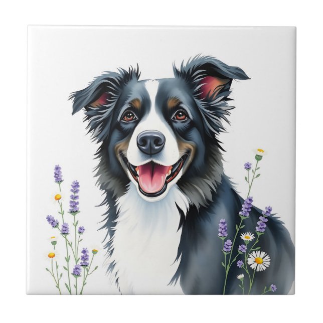 Collie de Borda de Aquarela com Lavanda e Visitas (Frente)