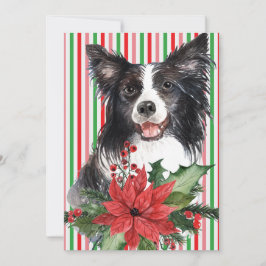 Collie De Borda De Aquarela Com Placa Poinsettia