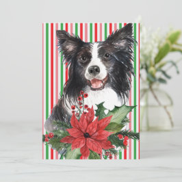 Collie De Borda De Aquarela Com Placa Poinsettia