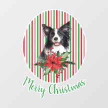 Collie De Borda De Cores Aquáticas Com Poinsettia 