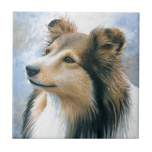 Collie de Sheltie do cão 122 (Frente)