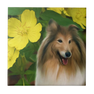 Collie E Flowers Dog Art