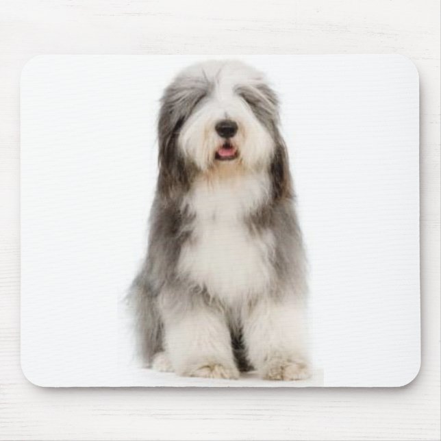Collie farpado Mousepad (Frente)