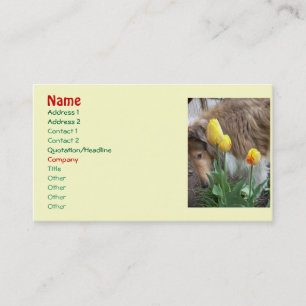 Collie n' Tulips Cartões de visitas