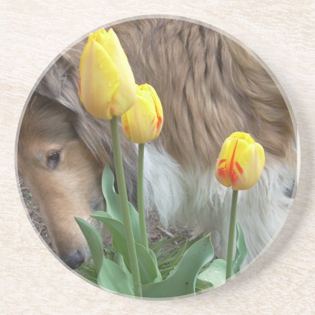 Collie n Tulips porta copos (Frente)